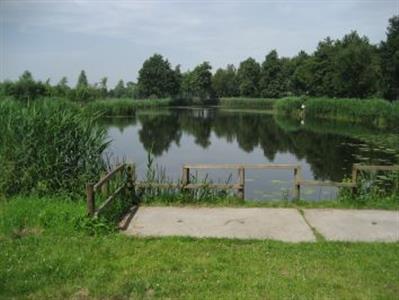 Vijver